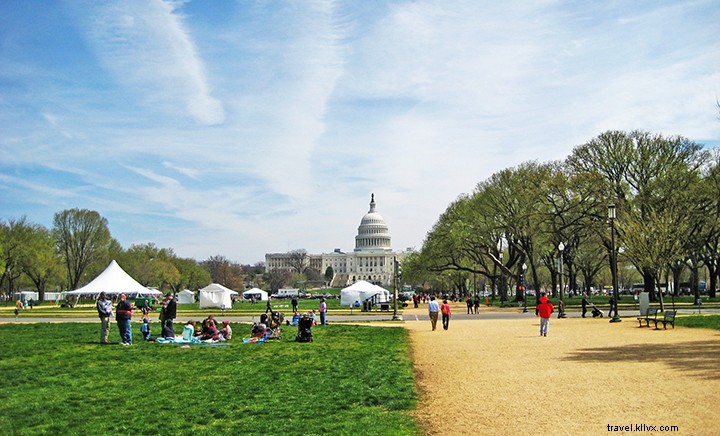 Equilibre el presupuesto de sus vacaciones familiares:19 cosas gratis para hacer en D.C. 
